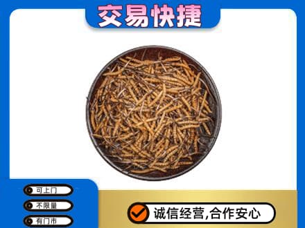内江市高价回收散虫草